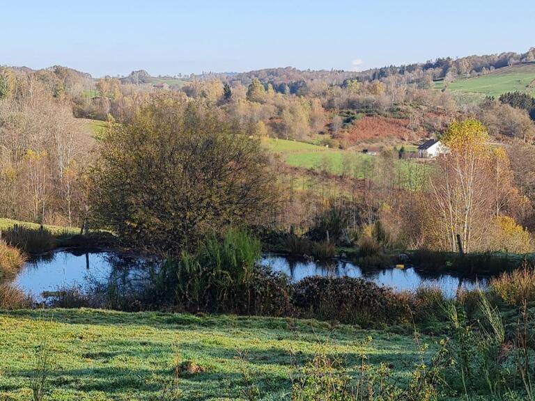 Pied Des Milles Etang - Les Capucins Bed & Breakfast Faucogney-et-la-Mer Exterior photo