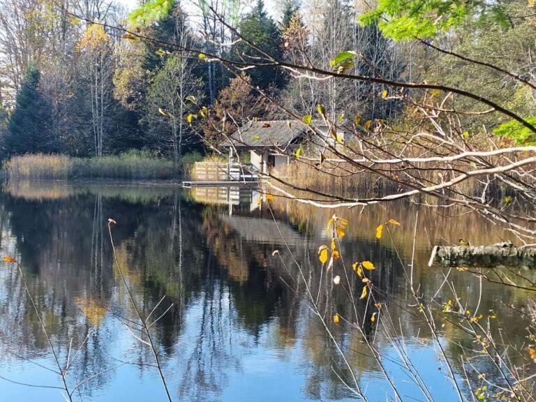 Pied Des Milles Etang - Les Capucins Bed & Breakfast Faucogney-et-la-Mer Exterior photo